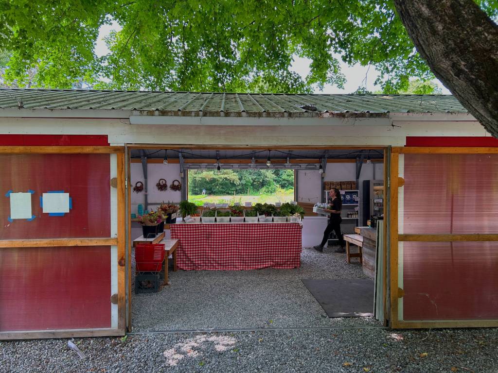 Photo of the farmstand at Small Farm in Stow MA on CSA pick-up day.